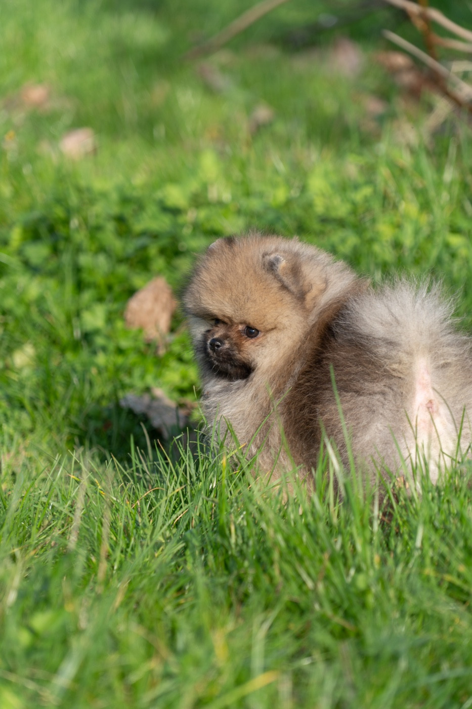 Nouveau : Livraisons possibles à Paris